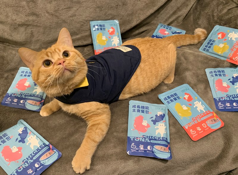 女人知己試用大隊,口碑行銷,部落客行銷,自然食 成長機能主食餐包,自然食,成長機能狗狗主食餐包,成長機能貓咪主食餐包,滿足毛孩最單純的幸福,人食等級食材,開封即食,綿密的肉泥狀質地,好吸收,無膠類,無色素,無防腐劑的添,維持腸道健康,添加DHA/靈芝多醣體,使用高優質蛋白,適口性佳,狗狗口味,犬用營養火雞,犬用嫩雞牛肉,貓咪口味,貓用營養嫩雞,貓用嫩雞鮪魚